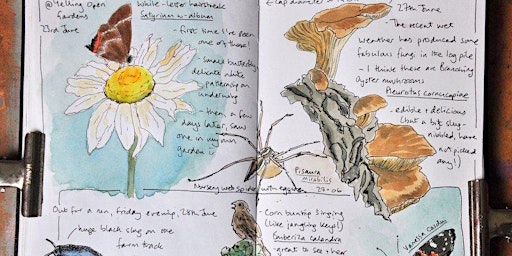 Image principale de Nature Journaling with Sharon - 24th June PP