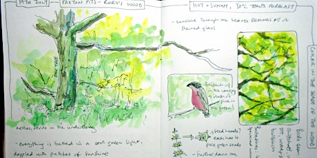 Nature Journaling with Sharon - 15th July PP