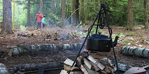 Image principale de Advanced Summer Forest Camp