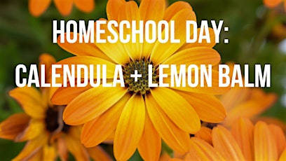 Homeschool Day: Calendula + Lemon Balm primary image