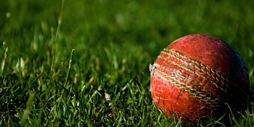 Primaire afbeelding van Farlington School Easter Cricket Camp