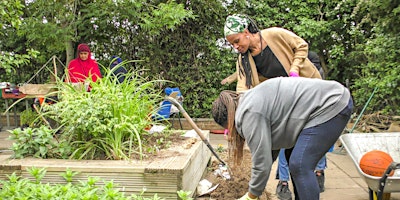 Imagen principal de Managing Green Spaces workshop - College Lake, Saturday 6 July