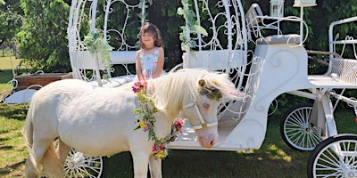 Unicorn Day At The Ranch primary image