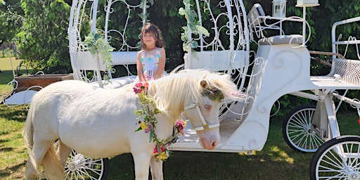 Unicorn Day At The Ranch primary image