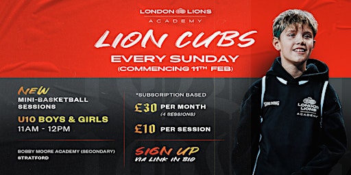 Primaire afbeelding van London Lions U10 Basketball Sessions