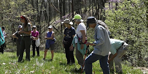 Primaire afbeelding van Salt Creek Wildflowers Hike