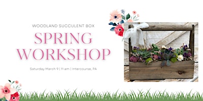 Spring Woodland Succulent Box Workshop (Intercourse Location)