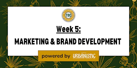 Grading Masterclass Week 5: Marketing & Brand Development primary image