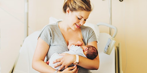 Imagem principal de Breastfeeding Preparation Workshop