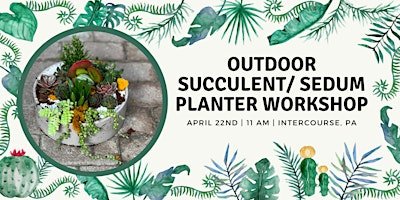 Outdoor Succulent/Sedum Planter Workshop Intercourse Workshop