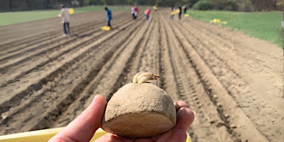 Primaire afbeelding van April's Community Farm Work Day: Potato Planting