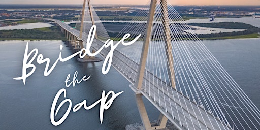 Bridge The Gap: Networking Group primary image