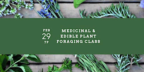 Image principale de Medicinal & Edible Plant Foraging Class
