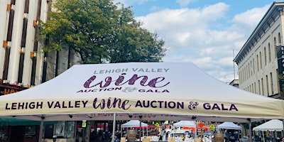 Imagem principal de Lehigh Valley Wine Auction 2024