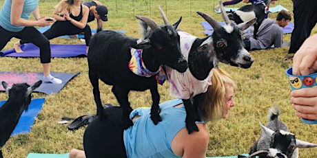 Goat Yoga Class Outside on the Farm primary image