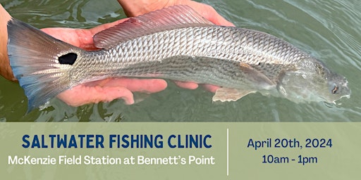 Hauptbild für Saltwater Fishing Clinic