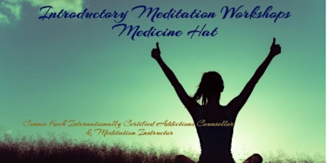 Introduction to Meditation Workshops primary image