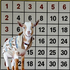 Imagem principal do evento BINGOAT: Baby Goats + Bingo