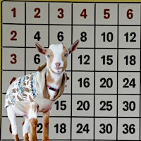 Primaire afbeelding van BINGOAT: Baby Goats + Bingo