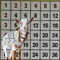 Imagem principal do evento BINGOAT: Baby Goats + Bingo