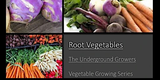 Hauptbild für Root Vegetable Growing- The Underground Growers in the Vegetable Garden