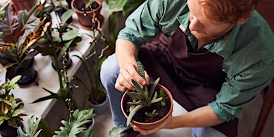 Hauptbild für Houseplant propagation