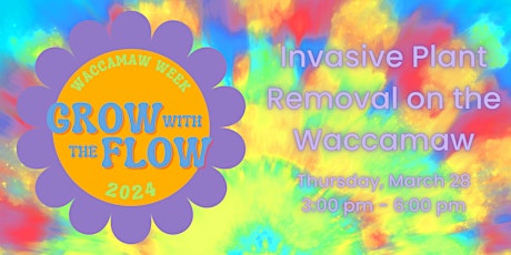 Waccamaw Week : Invasive Plant Removal on the Waccamaw