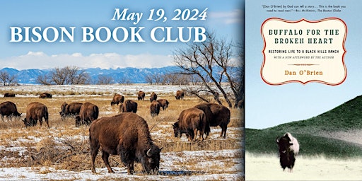 Imagem principal do evento Bison Book Club/Buffalo for the Broken Heart