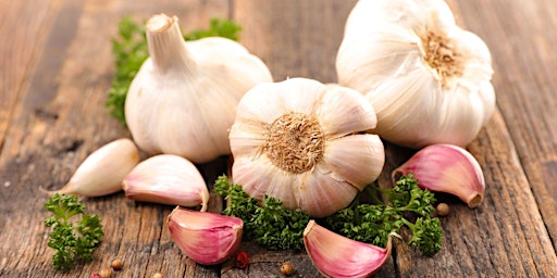 Imagem principal do evento Planting Garlic