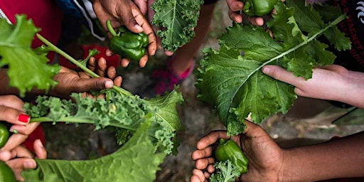 Farm Visit: Beauty Blooms primary image