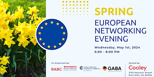 Sold out:  Spring European Networking primary image