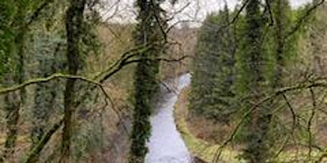 Rathdrum to Avondale Forest Park  Loop via Avonmore River primary image