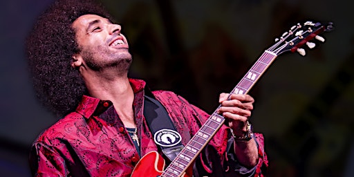 Imagem principal de SELWYN BIRCHWOOD