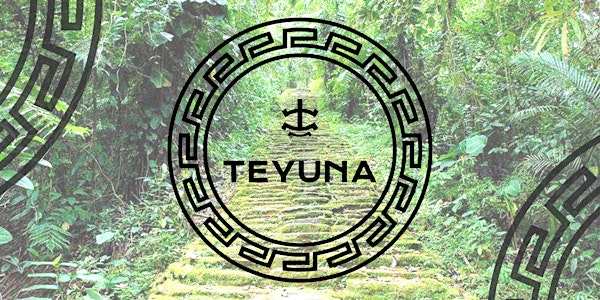 Teyuna Sacred Teachings on The Four Vital Signs of an Environment