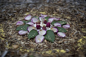 Hauptbild für Nature Inspired Group Mandala Workshop