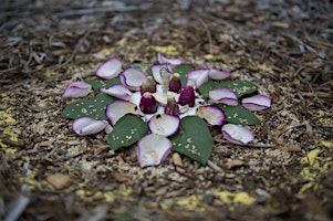 Primaire afbeelding van Nature Inspired Group Mandala Workshop