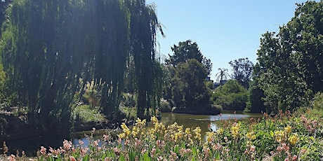 Adelaide Botanic Gardens tour - Parks Week primary image