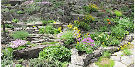 MGAA: The Art of Rock and Crevice Gardening with Paul Spriggs