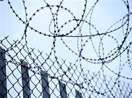 Razor Wire and Olive Branches primary image