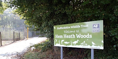 Primaire afbeelding van Introduction to bushcraft at Hem Heath