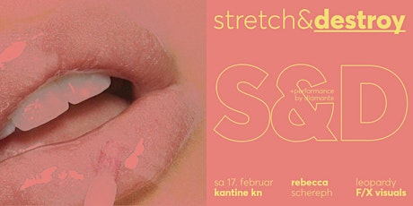 Hauptbild für Stretch&Destroy w/ Rebecca | Schereph | Leopardy