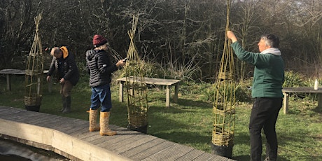 Willow Obelisks for Beginners: Adult weaving workshop - Didcot, Thurs 2 May