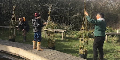 Imagem principal de Willow Obelisks for Beginners: Adult weaving workshop - Didcot, Thurs 2 May