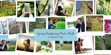 Spring Awakening Photo Walk in Phoenix Park Inspired by Positive Psychology primary image