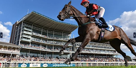 SOLD OUT! - A Day at the Races with York Professionals