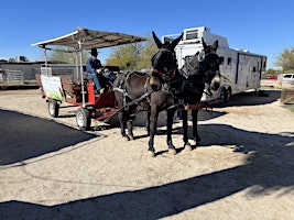 Rooted in Resilience: Honoring Black History at Robinson Ranch  primärbild