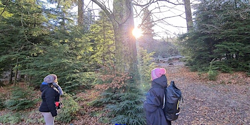 Image principale de Forest Bathing+ with Carri