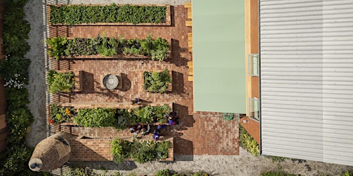 Immagine principale di School Superzone series: Create a school food-growing space 