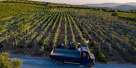 Imagem principal de Leading Crete's Revival: Lyrarakis Winery - Extra Tickets released!