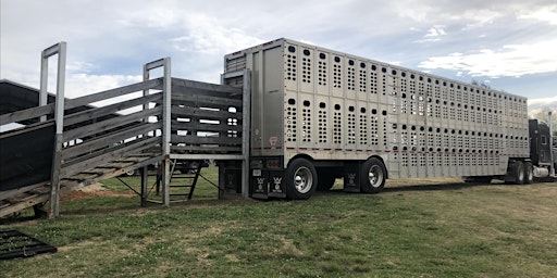 2024 Alabama Farmers Federation Beef Cattle and Forage Summit primary image